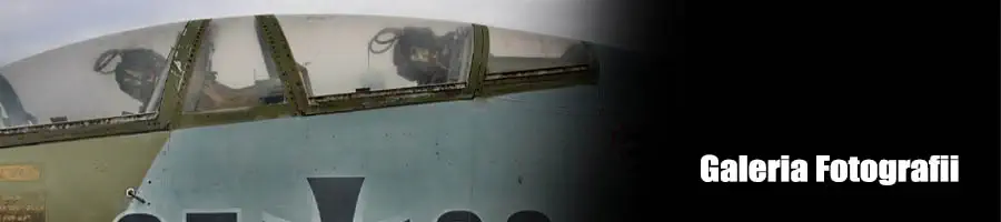 Link do muzeum otnictwa w Berlinie