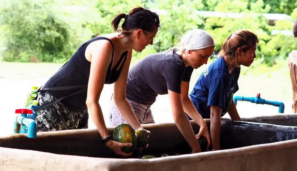 Wolontariusze w ElephantWorld w Kanchanaburi w Tajlandii