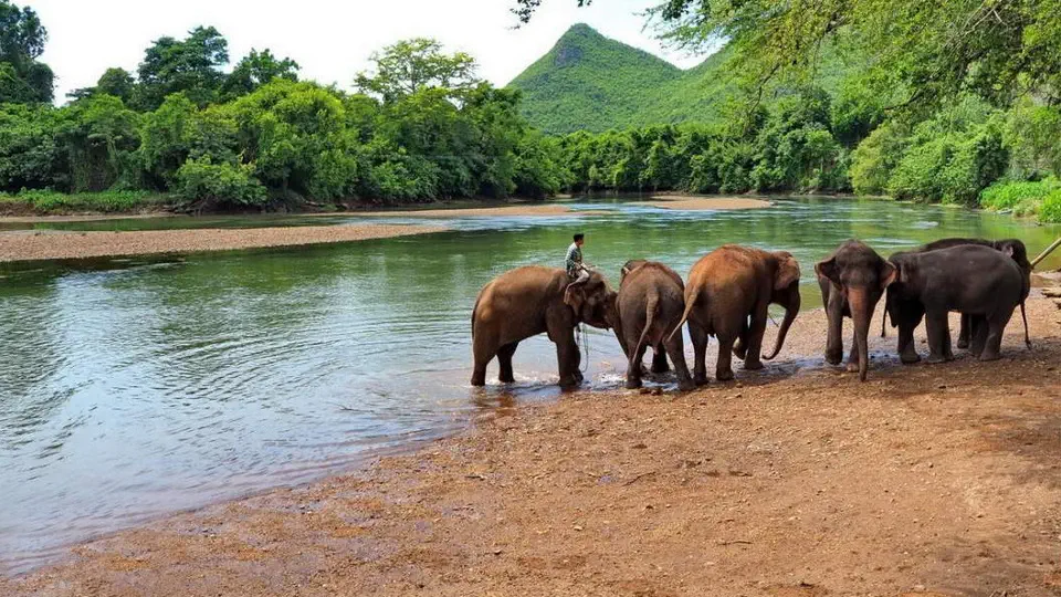 Ulubionym miejscem odpoczynku jest rzeka płynąca przez ich terytorium. Wcale nas to nie dziwi, miejsce to skojarzyło nam się z biblijnym rajem.