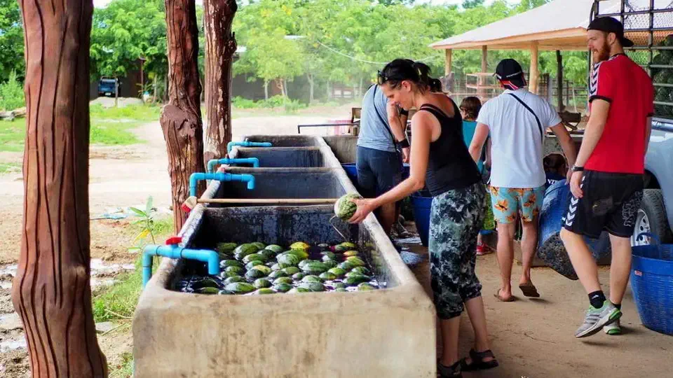 Elephants World w Tajlandi nieopodal Kanchanaburi. Magdalena Kiżewska.