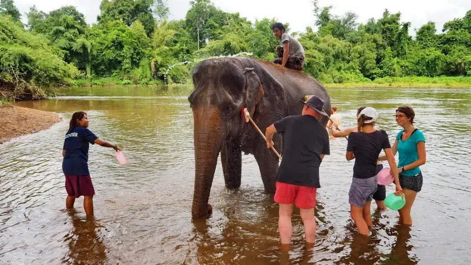 Elephants World w Tajlandi nieopodal Kanchanaburi.