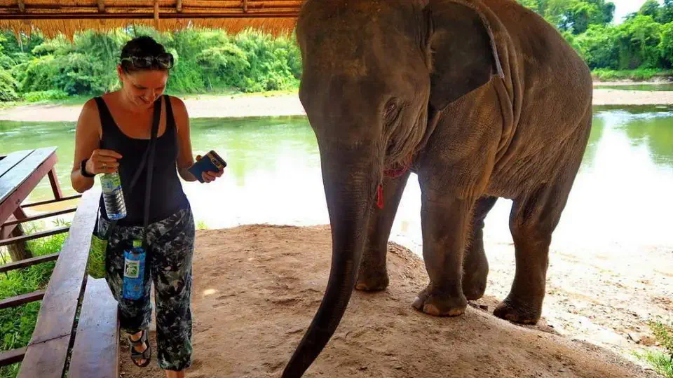 Elephants World w Tajlandi nieopodal Kanchanaburi. Magdalena Kiżewska.