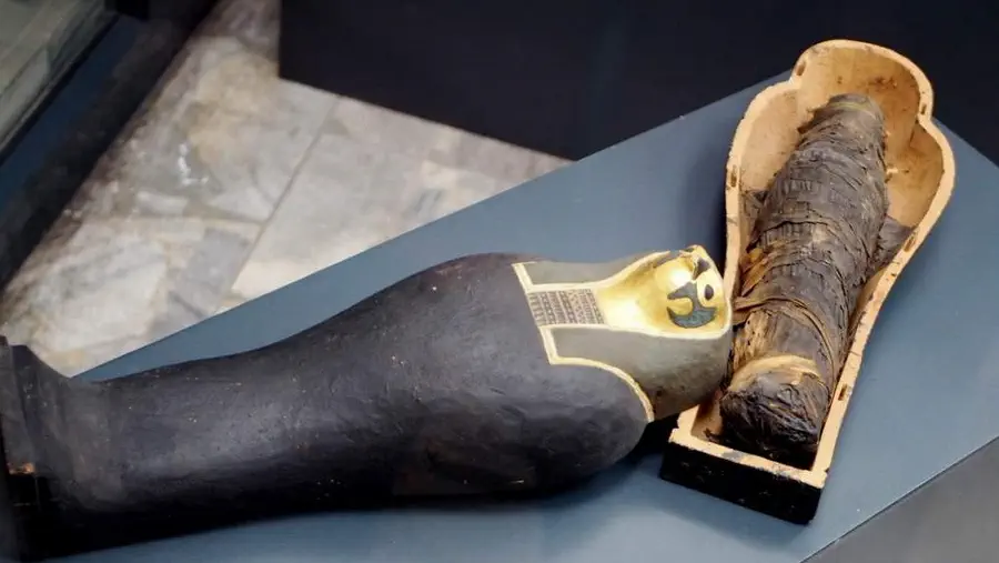 Mumie z muzeum archeologicznego w Poznaniu