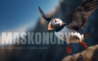 Maskonury z Islandii – gdzie i kiedy je zobaczyć?