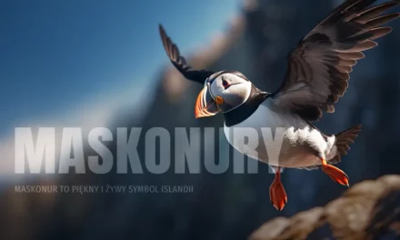 Maskonury z Islandii – gdzie i kiedy je zobaczyć?