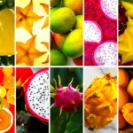 Owoce w Tajlandii raj pełen smaków informacje oraz ciekawostki