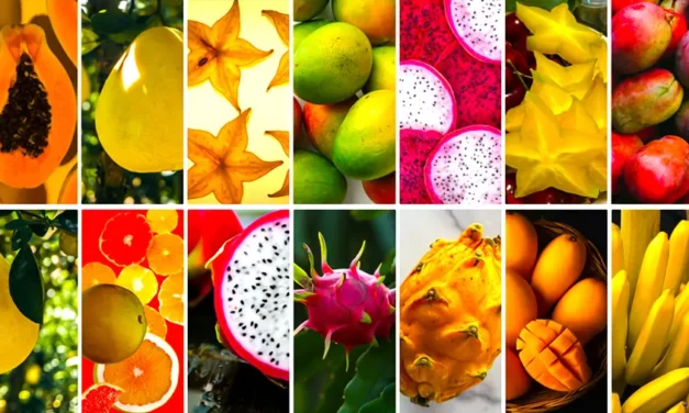 Tajlandia owocowy raj pełen smaków oraz ciekawostki o owocach