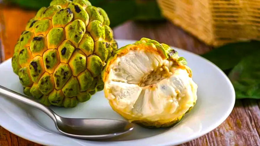 Cukrowe jabłko to słodki owoc z Azji