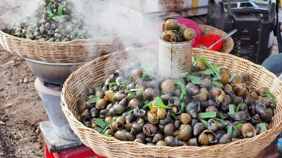 Kuchnia w Kambodży robaki na talerzu