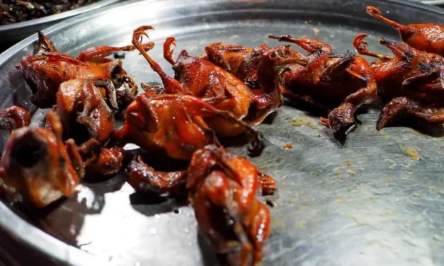 Kuchnia w Kambodży, czyli robaki na talerzu i inne ciekawostki