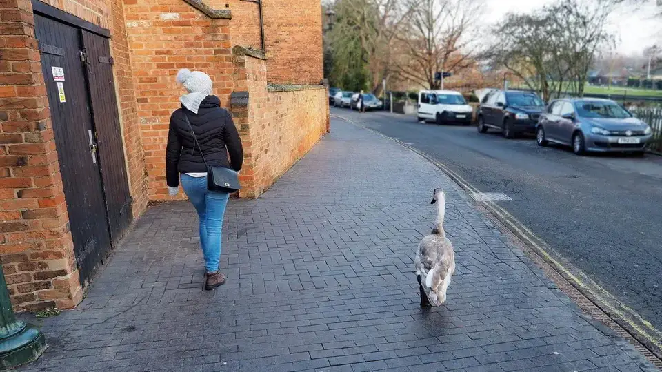 Stratford-upon-Avon. Magdalena Kiżewska.