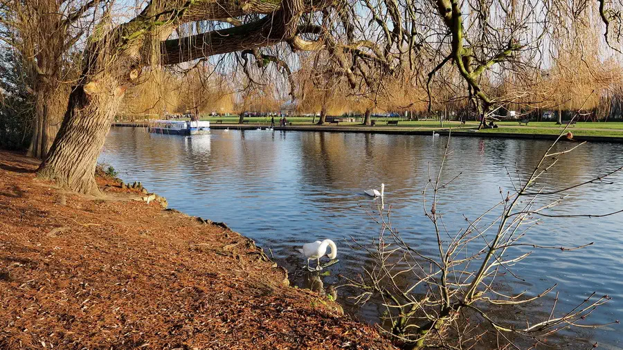 Rzeka Avon płynąca przez miasto Stratford, w którym urodził się William Szekspir