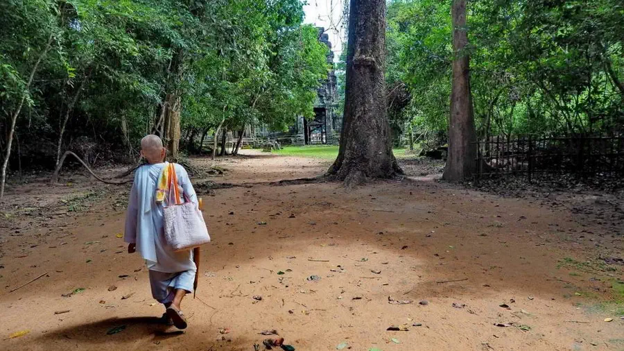 Świątynie w Angkor Kambodża