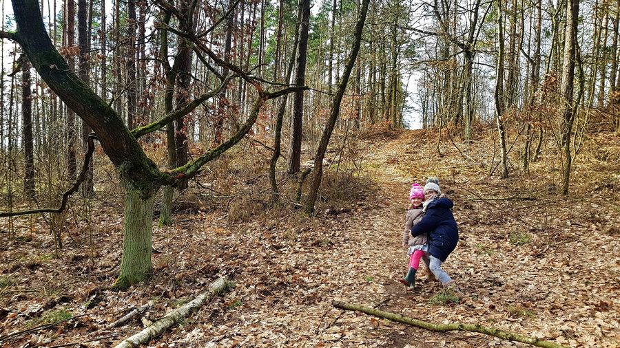 Śmieci w lesie – Wątpliwe uroki wiosennych spacerów