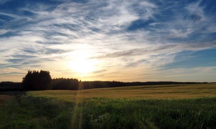 Legenda Czeska – O Inteligencji i Szczęściu