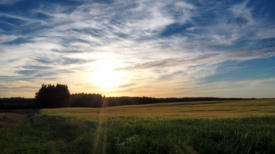 Legenda Czeska – O Inteligencji i Szczęściu