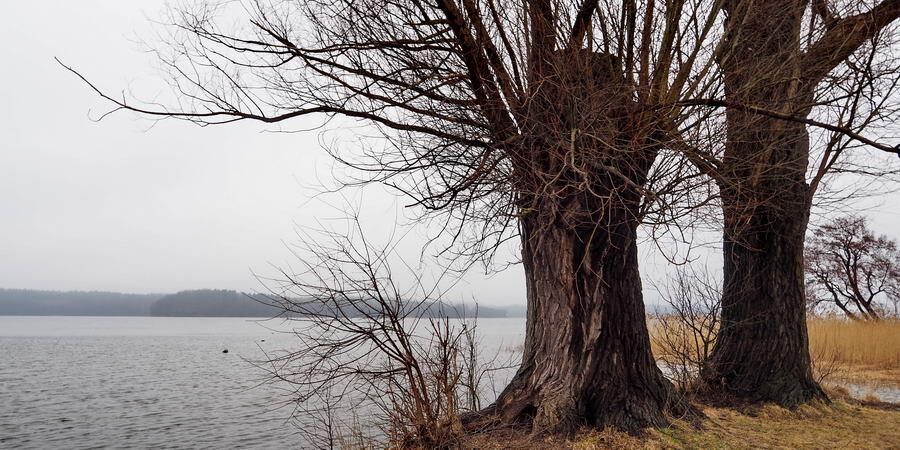 Rzeka Czarna w Kurozwękach