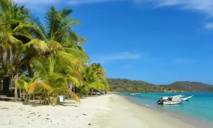 Wenezuela czy jest bezpieczna? Na pewno dzika i piękna