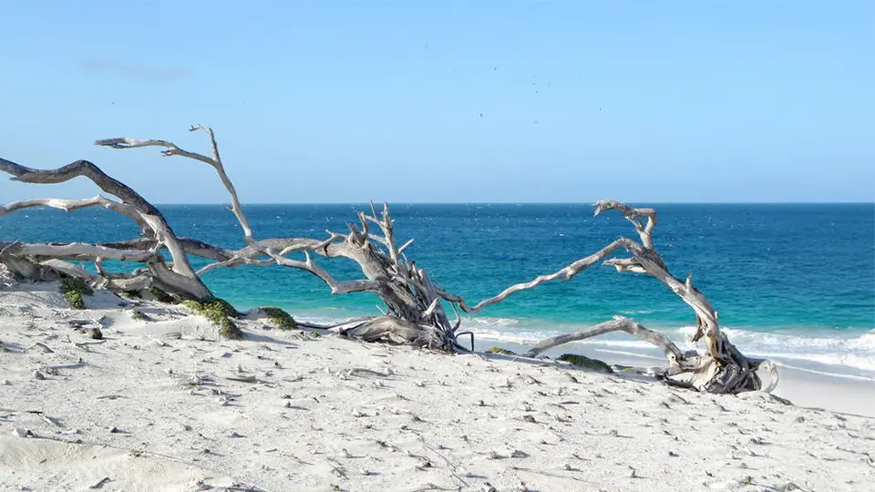 Plaża w Wenezueli - Karaibskie Malediwy