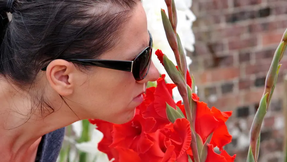 Avebury - Kamienne kręgi z National Trust. Magdalena Kiżewska, kwiaty, ogród.