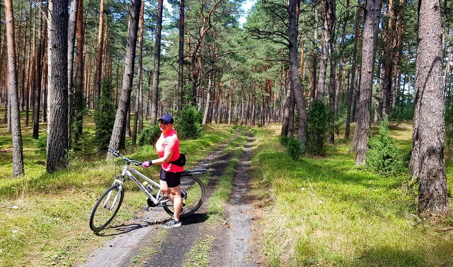 Ewa Baranowska na szlaku rowerowym w Borach Tucholskich