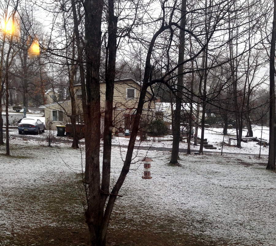 Zima w Stanach Zjednoczonych