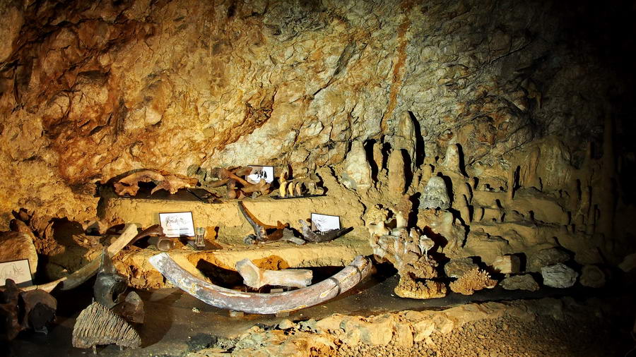 Jaskinia Wierzchowska w Wielkopolsce