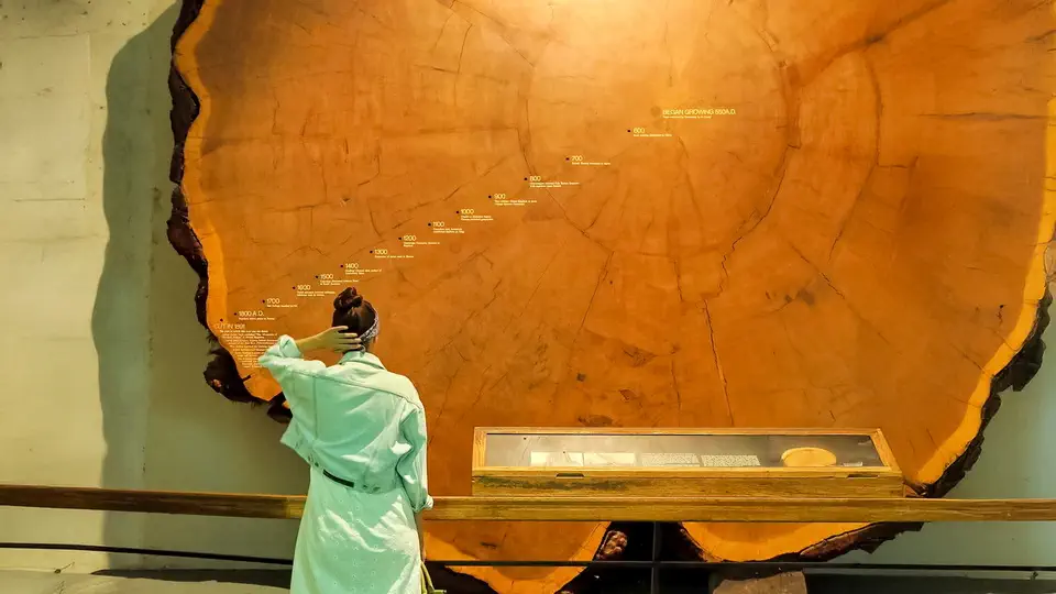Muzeum Historii Naturalnej w Nowym Jorku