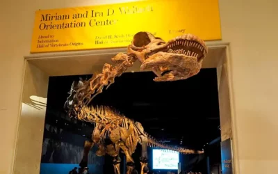 Amerykańskie Muzeum Historii Naturalnej w Nowym Jorku