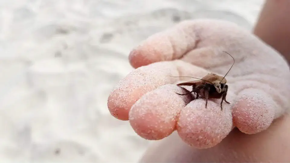 Słowiński Park Narodowy.