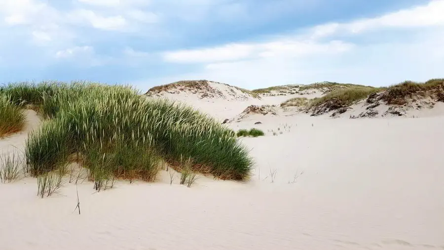 Plaża nad Bałtykiem bez ludzi i parawanów?