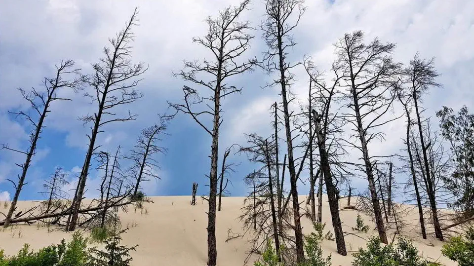 Słowiński Park Narodowy.