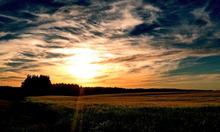 Mylof i wędzone pstrągi, a także najlepszy ich sprzedawca