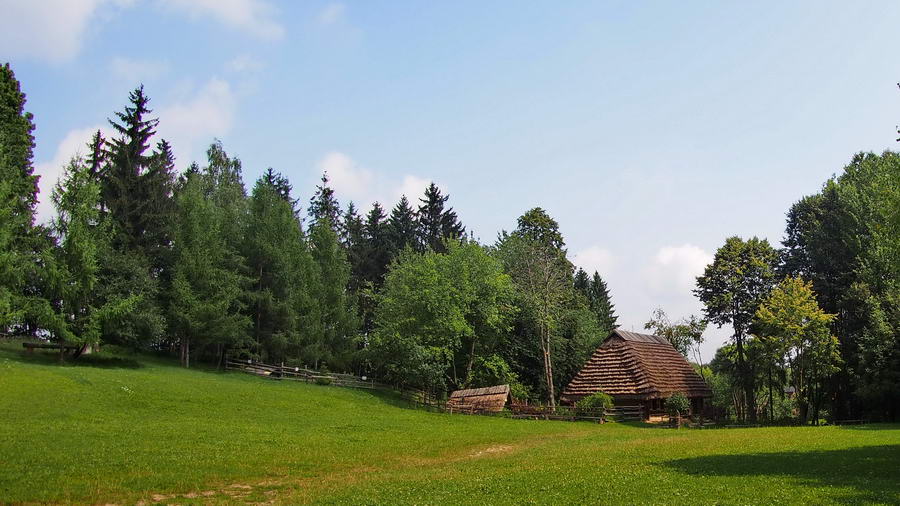 Lew symbol miasta Lwowa 