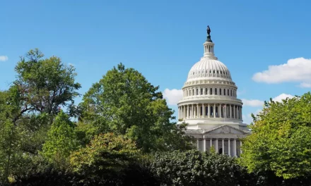 Waszyngton DC jak dojechać i jak zwiedzać stolicę Stanów Zjednoczonych