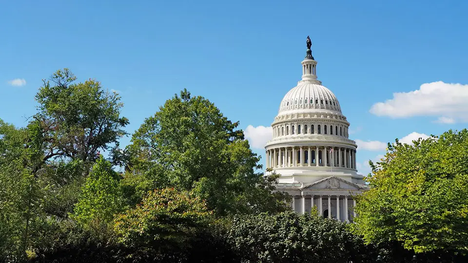 Waszyngton DC jak dojechać i jak zwiedzać stolicę Stanów Zjednoczonych
