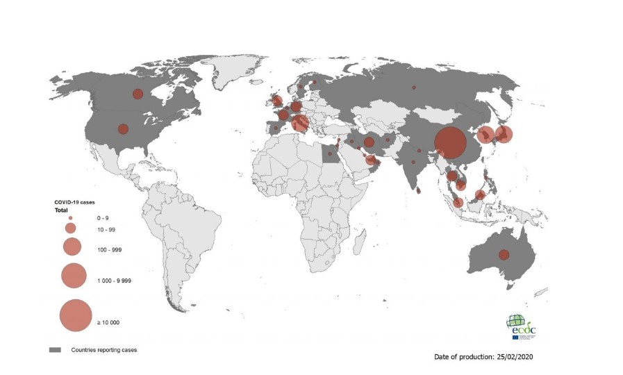 Zakażenie koronawirusem na koniec lutego 2020 roku