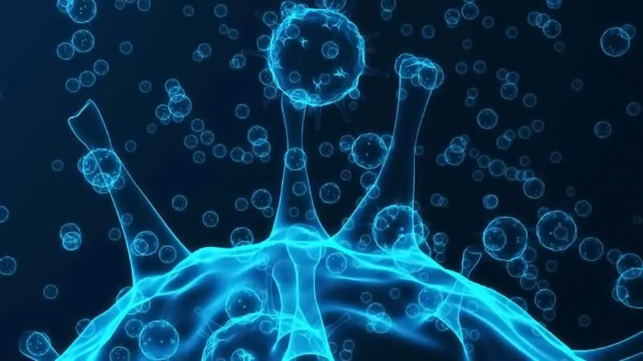 Koronawirus czym jest i jak się przed nim bronić w podróży – Filipiny i inne kraje Azji