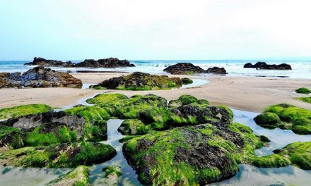 Anglesey (YNYS MÔN) wyspa w Walii, na której kształcono młodych Druidów