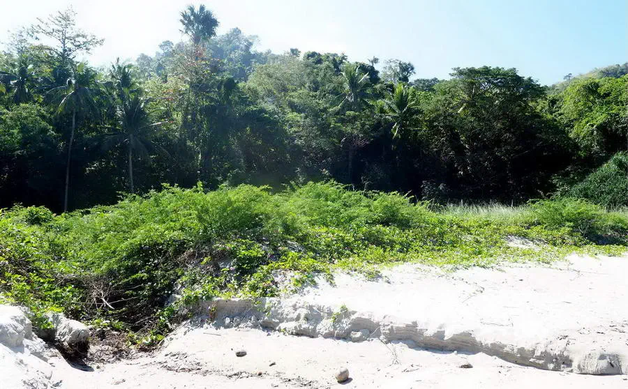 Białe plaże na Mindoro