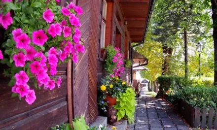 Lanckorona piękny rynek, ruiny zamku oraz atrakcje i ciekawostki