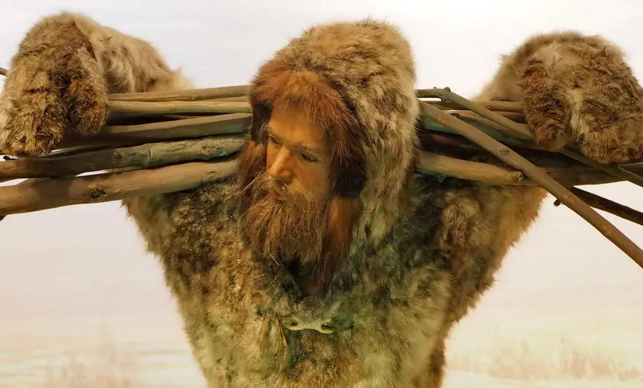 Mieszkańcy Brytanii dobrze radzili sobie z trudami ówczesnego życia