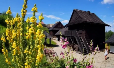 Zamek w Dobczycach oraz skansen i inne atrakcje zwiedzanie i ciekawostki