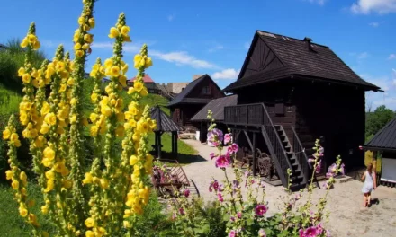 Zamek w Dobczycach oraz skansen i inne atrakcje zwiedzanie i ciekawostki