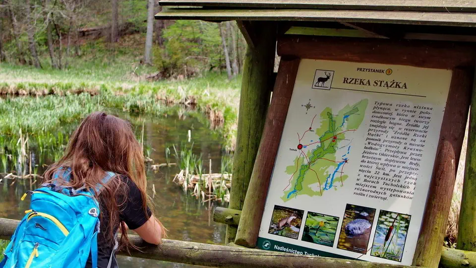 Jelenia Wyspa i rezerwat przyrody Bagna nad Stążką w Borach Tucholskich.
