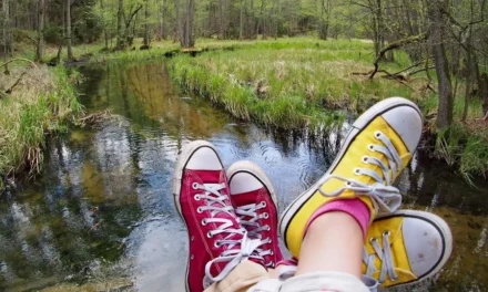Jelenia Wyspa  i rezerwat Bagna nad Stążką w Borach Tucholskich
