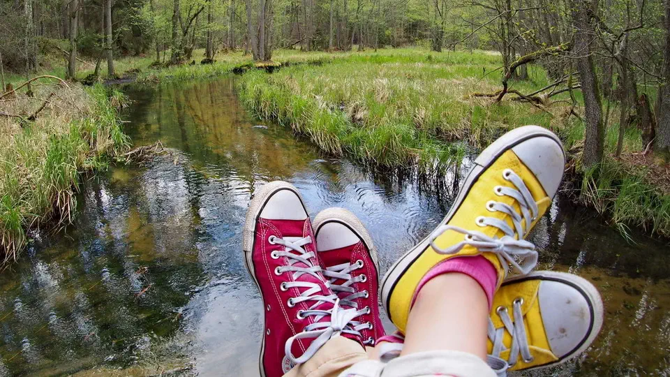 Jelenia Wyspa i rezerwat przyrody Bagna nad Stążką w Borach Tucholskich.