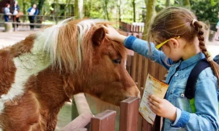 Bydgoszcz atrakcje dla dzieci i ciekawostki dla najmłodszych