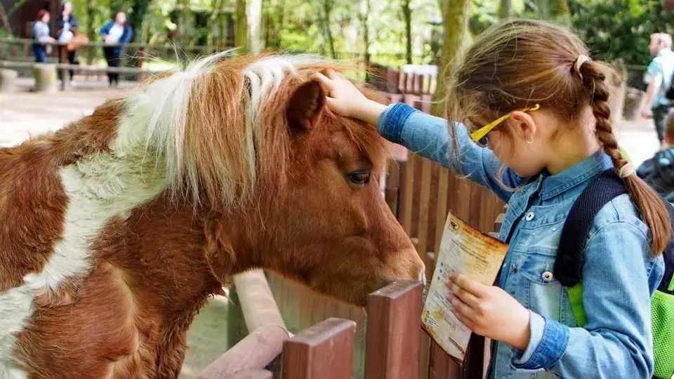 Bydgoszcz atrakcje dla dzieci i ciekawostki dla najmłodszych
