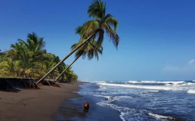 Tortuguero — Kostaryka i piękne karaibskie wybrzeże